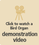 Click to watch a Bird Organ demonstration video