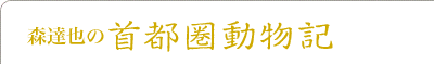 森達也の首都圏動物記