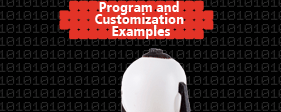 Program and Customization Examples
